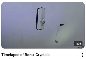 Timelapse of Borax Crystals